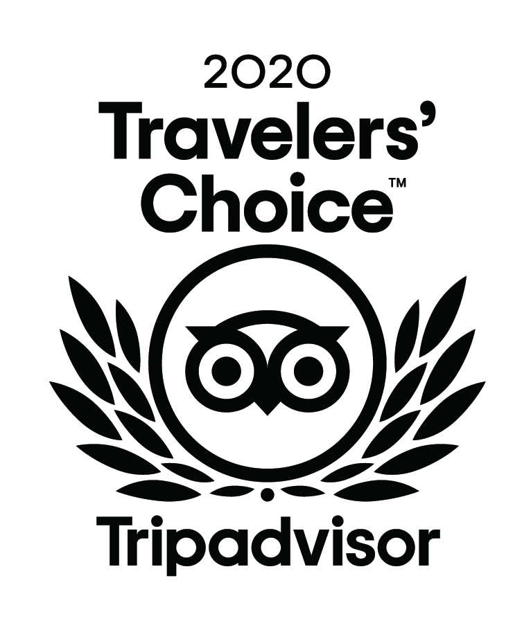 Travelers Choice 2020